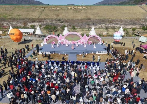保安桃花节：多元化活动推动大冶“桃花经济”蓬勃发展