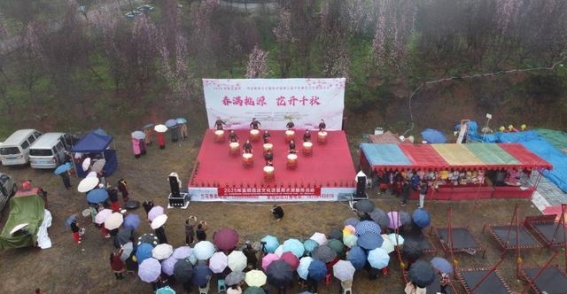 春满桃源，花开千秋——板桥镇第七届千秋桃花文化旅游活动拉开帷幕