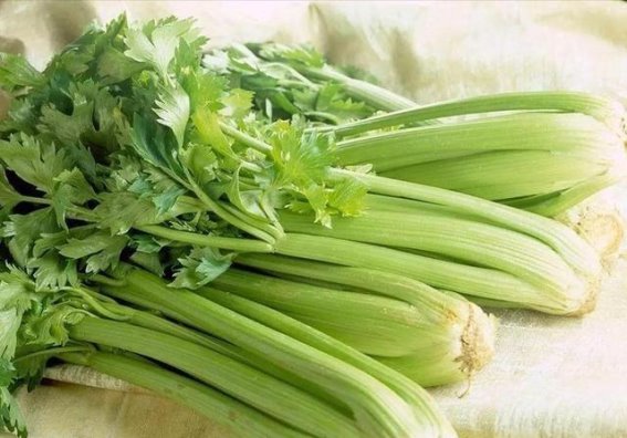 春天吃芹菜：3个月内见证的身体改善效果
