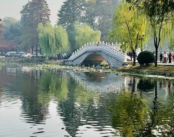 陪母亲游东湖，品味西湖龙井茶