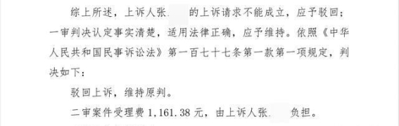 特斯拉车顶维权事件二审：媒体策划者与车主被判道歉并赔偿
