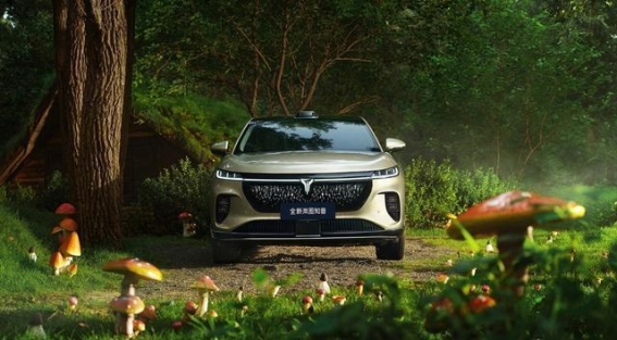 全新岚图知音满配出击 打破车圈阴阳配置套路