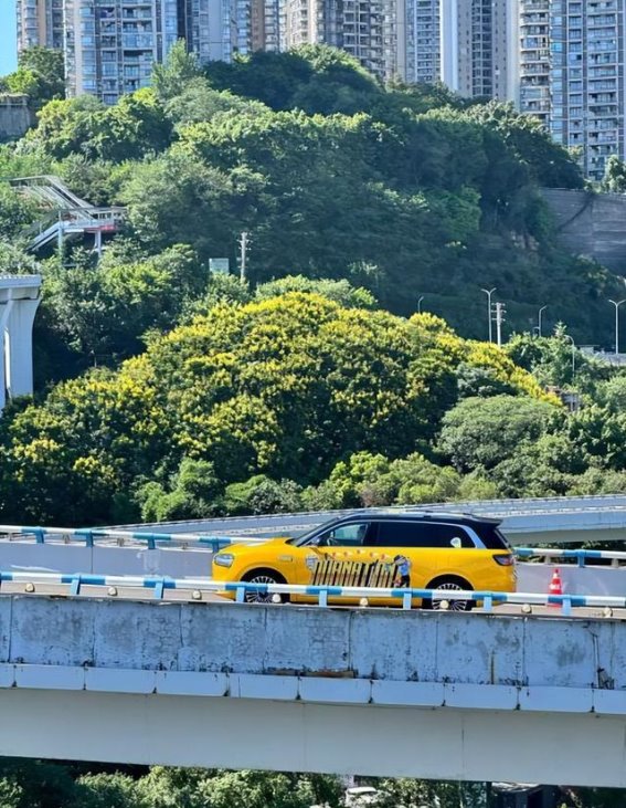 三千公里的热爱之旅：库里战车与问界M9的跨界激情