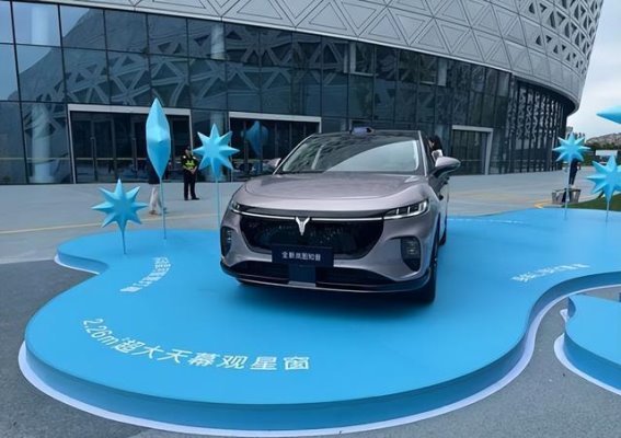 岚图全新知音：豪华与智能的电动革命