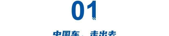 比亚迪的崛起：从国内领导者到全球市场的挑战者