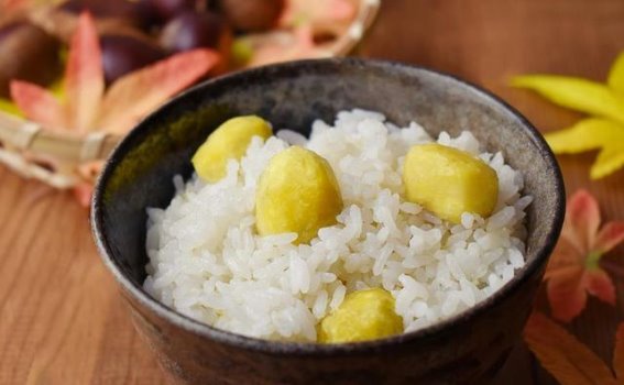 碳水化合物与食物热量的关系：探寻影响因素