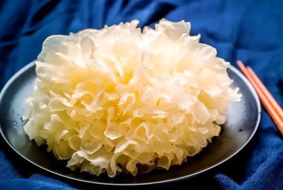银耳泡发误区：从健康食材到致命风险的潜在转变
