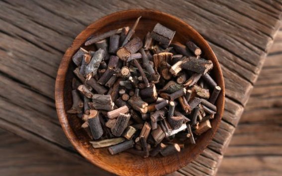 桑寄生：老祖宗留下的平价护肾护腰良方