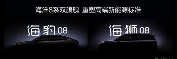 比亚迪海洋8系双旗舰正式亮相，2026年高端市场新纪元开启