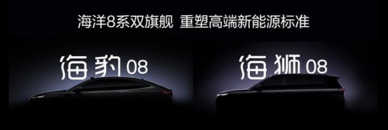 海洋网四年成长纪实 海洋8系双旗舰引领高端新能源新格局