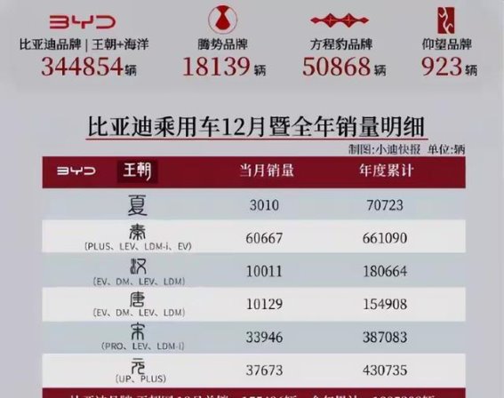 比亚迪12月销量分析：高端品牌崛起与未来市场挑战