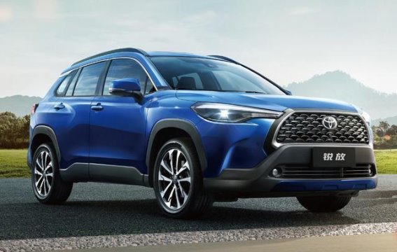 嘴上骂得凶，销量依旧惊人：2025年那些让喷子破防的车型