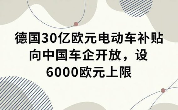 德国30亿欧元电动车补贴向中国产品全面开放